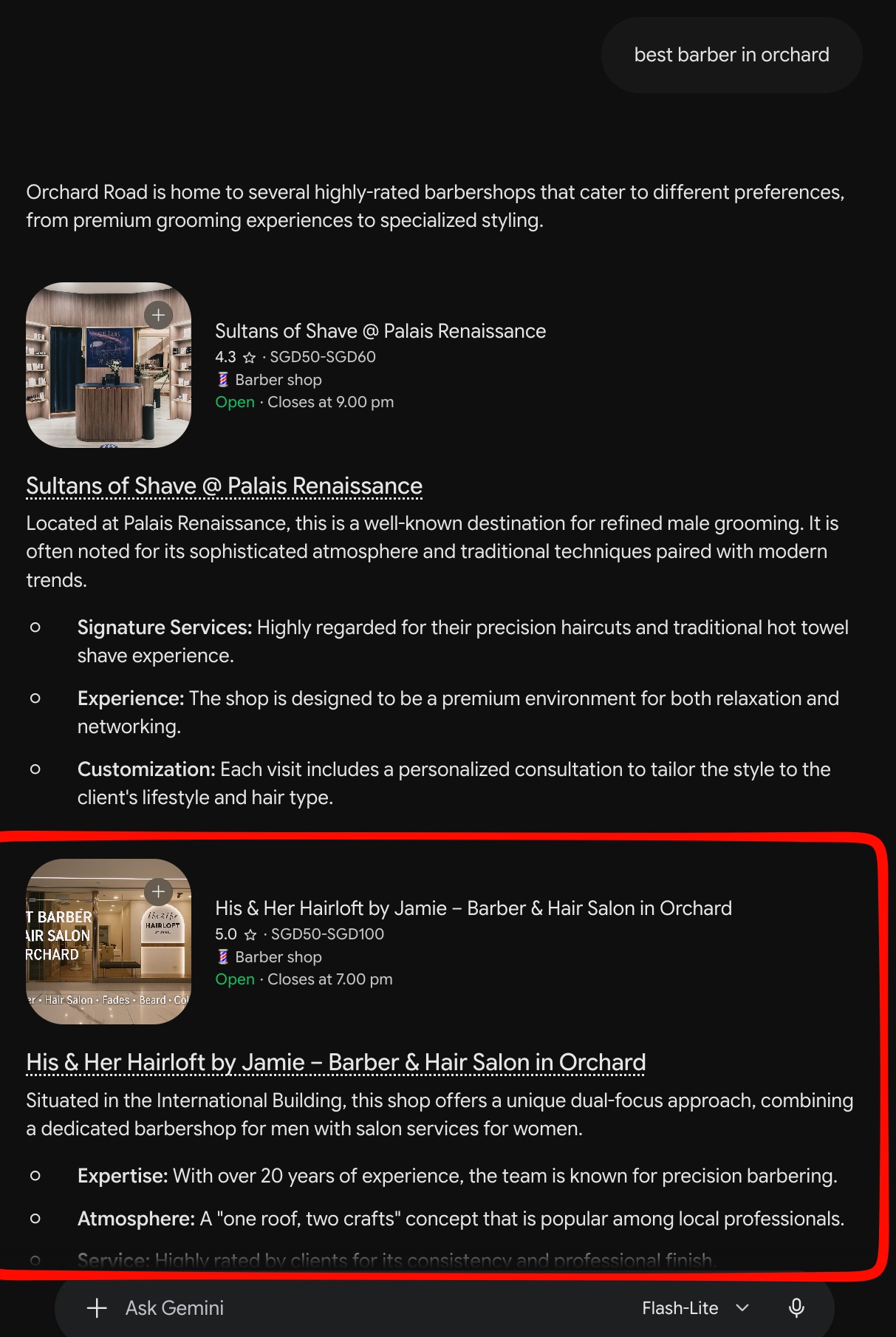 His & Her Hairloft by Jamie: Gemini. Original client case-study screenshot.